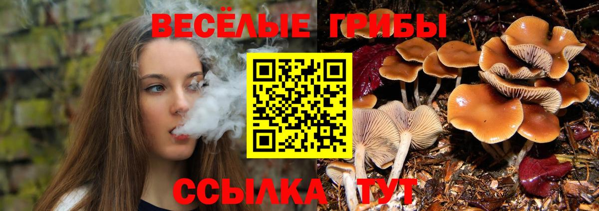 Псков  Псилоцибиновые грибы Psilocybine cubensis  Вход с VPN  Галлюциногенные грибы GOLDEN TEACHER 
